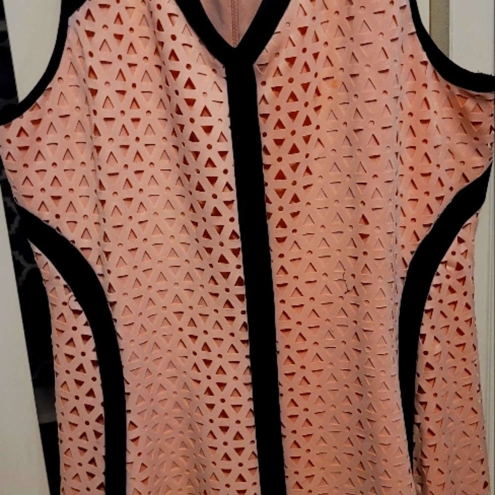 Formal Pink Dress 16W stretch